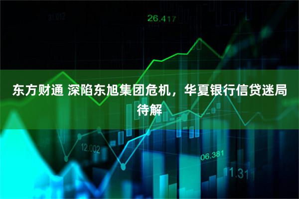 东方财通 深陷东旭集团危机，华夏银行信贷迷局待解