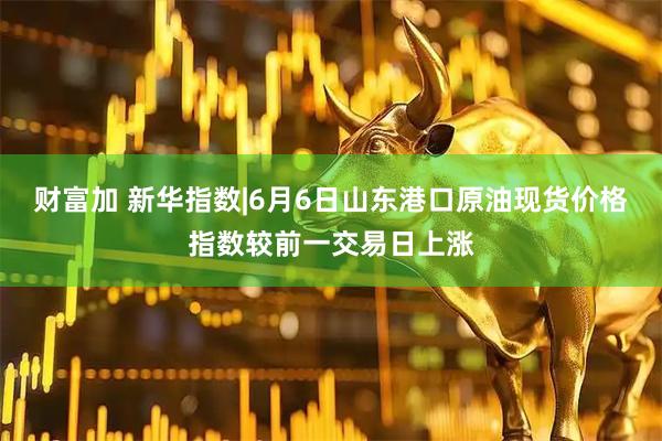 财富加 新华指数|6月6日山东港口原油现货价格指数较前一交易日上涨