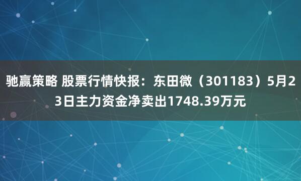 驰赢策略 股票行情快报：东田微（301183）5月23日主力资金净卖出1748.39万元