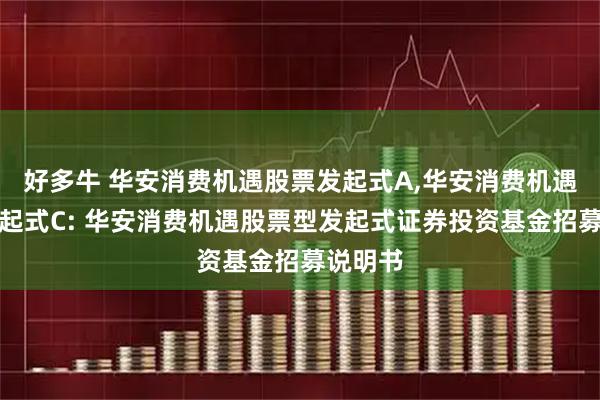 好多牛 华安消费机遇股票发起式A,华安消费机遇股票发起式C: 华安消费机遇股票型发起式证券投资基金招募说明书