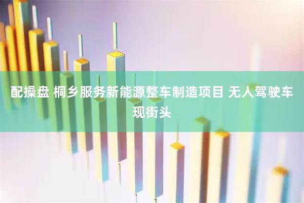 配操盘 桐乡服务新能源整车制造项目 无人驾驶车现街头