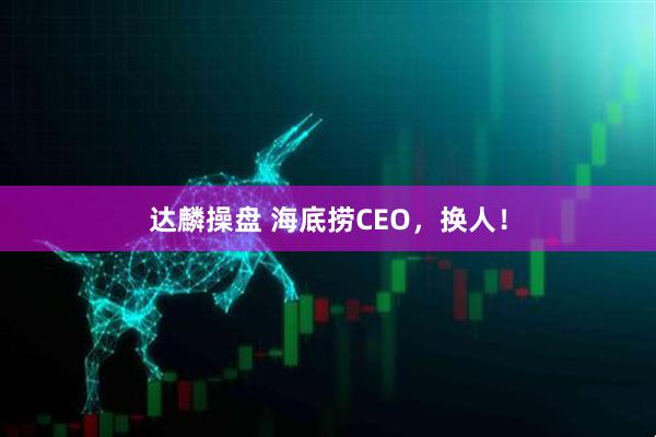 达麟操盘 海底捞CEO，换人！