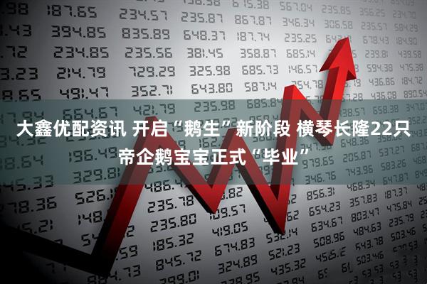 大鑫优配资讯 开启“鹅生”新阶段 横琴长隆22只帝企鹅宝宝正式“毕业”