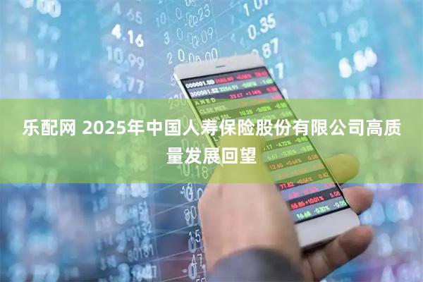 乐配网 2025年中国人寿保险股份有限公司高质量发展回望